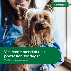 Advantage II Petit Chien – formule sans parfum et respectueuse de la peau
