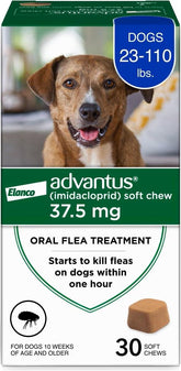 Advantus: comprimé mordible savoureux pour chien agissant rapidement contre les puces.