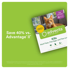 Advecta Plus: application en 12 heures, efficacité sans morsure.