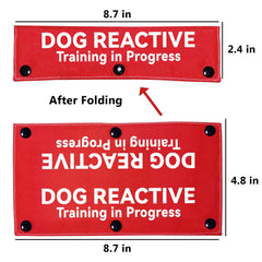 Advivio laisse réactive rouge vue arrière, chien facilement repérable.