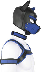 Aendu Capuchon Chiot – design ergonomique, respiration facilitée pendant les sessions prolongées.