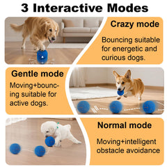 Affiuya Balle interactive, 3 modes intelligents pour chaque chien.