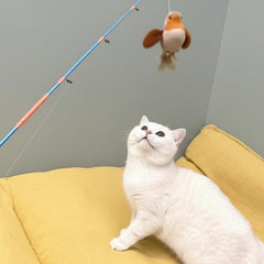 AGGER jouet chat poisson-cloche, jeu interactif et sonnette