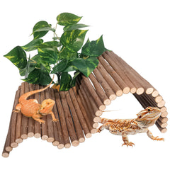 AGGQQA pont-cache-reptile bois: refuge naturel pour dragon barbu et tortues.