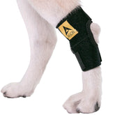 Attelle AGON pour jarret arrière du chien offrant stabilité du joint et récupération potentielle.