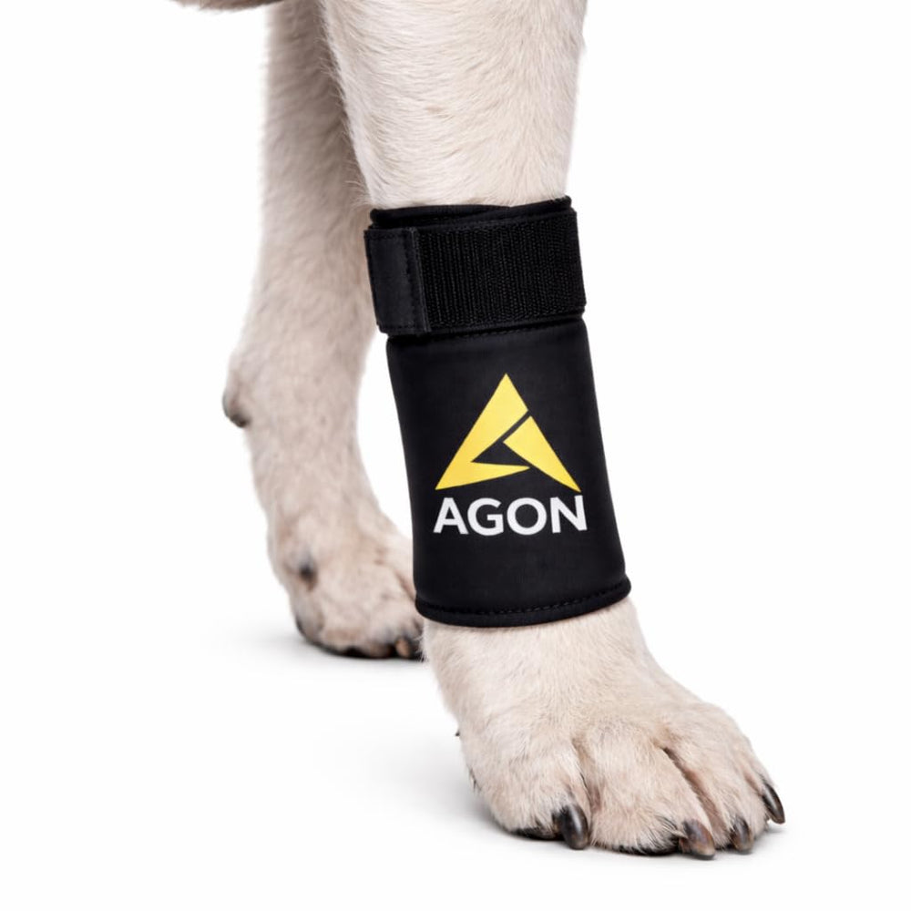 AGON Attelle patte avant – vue générale montrant stabilité pendant les mouvements.
