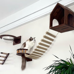 AGRICUE rampe ascension chat sisal – solution compacte pour petits espaces