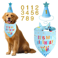 Bandana anniversaire Agroon bleu double face pour chien, design vibrant.