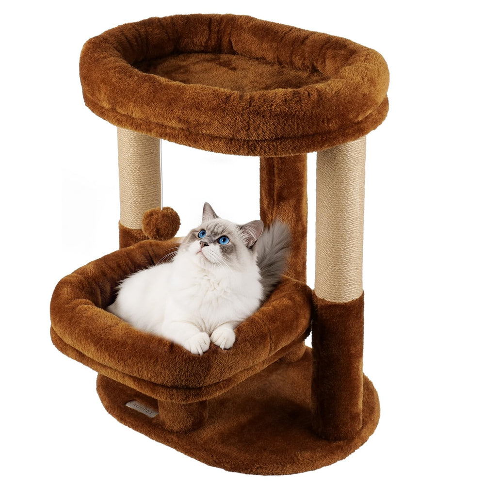 AGUPET Arbre-chat intérieur, nid donut haut, endroit cocooning pour dormir.