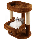 AGUPET Arbre-chat intérieur, nid donut haut, endroit cocooning pour dormir.