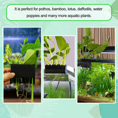 Aidmi paysage aquatique avec plantes vertes, décoration naturelle et équilibrée.