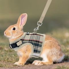 Laisse Aiitle respirante pour lapin, idéale pour les promenades sans contrainte.