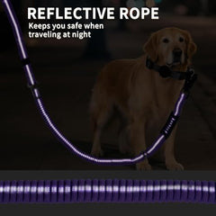 AIRUIDOG Laisse Réfléchissante à 3 lignes : meilleure visibilité nocturne.
