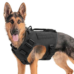 Harnais AIWAI avec poches latérales zippées pour ranger clés et petites fournitures.