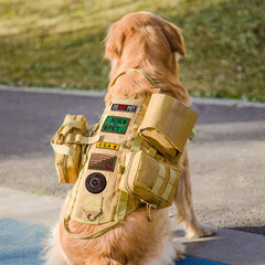AIWAI harnais tactique chien vue-devant, confort et stabilité lors des sorties.