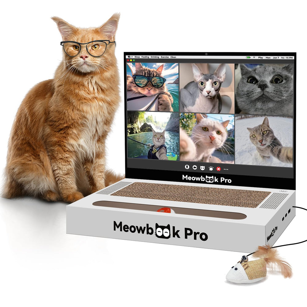 AIWEILUCK ordinateur-portable Grattoir: grattage amusant pour chats curieux et joueurs.