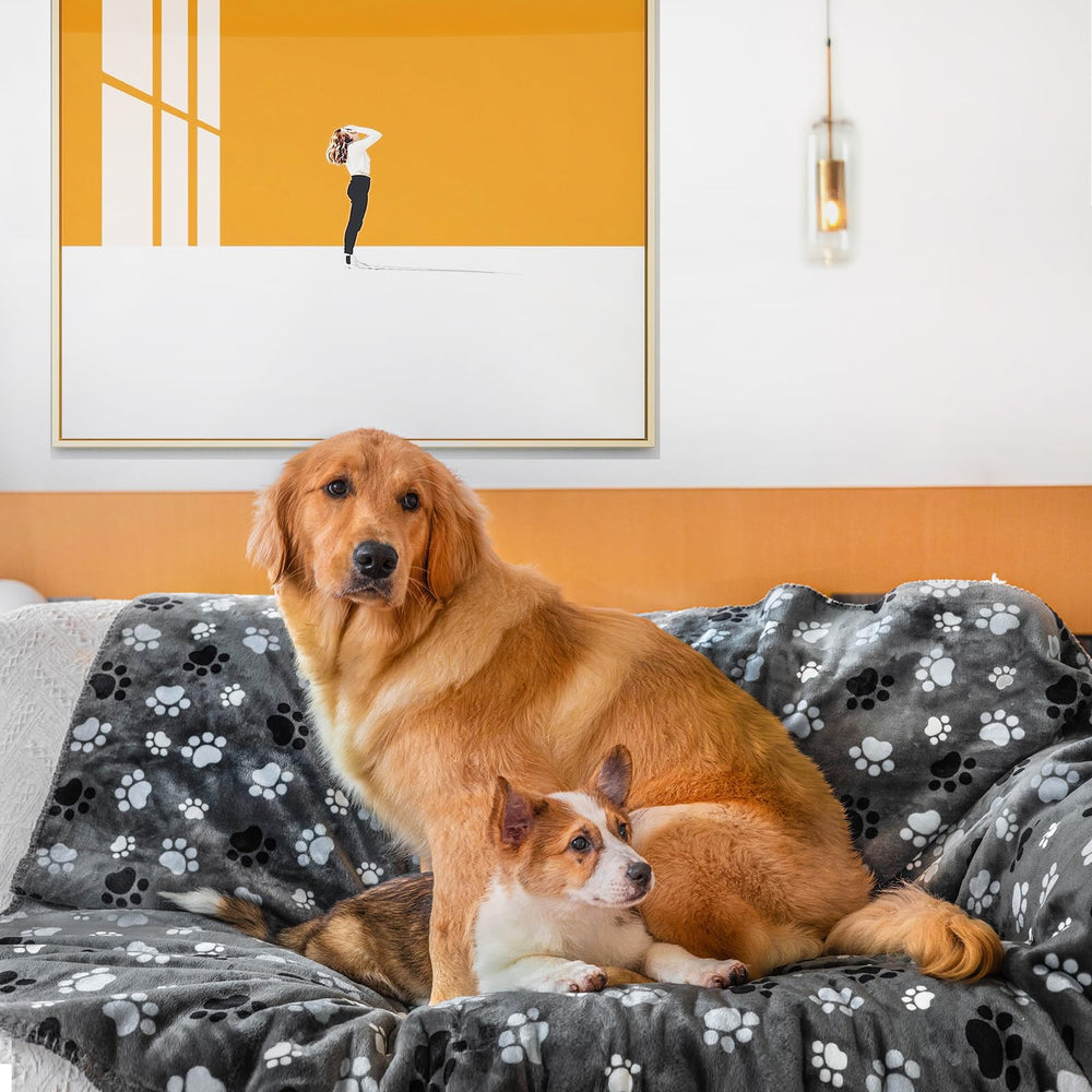 AIWEK couverture chien imperméable imprimé, protège le canapé des accidents et salissures.
