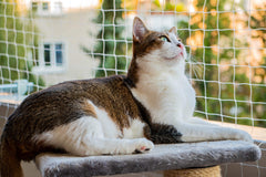 AIYGO filet-balcon-chat-nylon-durable protège le balcon sans obstruer la vue.