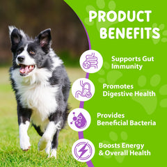 Akareni Probiotiques Liquides pour Chiens, Pipette Doseuse facilitant l’administration.
