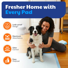 Tapis AKC à absorption rapide gardant les pattes propres.
