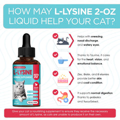 Alfa Pet L Lysine pour chats — saveur poulet naturelle, facilite l'administration.