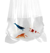 AlfaEx Sacs Poissons Transport Clair, haute transparence pour observation rapide.