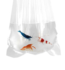 AlfaEx Sacs Poissons Transport Clair, haute transparence pour observation rapide.