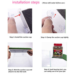 alfyng rampe tortue : rampe pratique pour sortir de l’eau et se détendre.