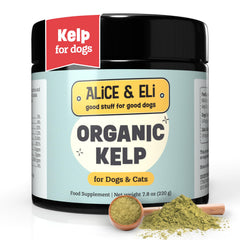 Alice et Eli poudre kelp biologique pour chien, pelage sain et brillant