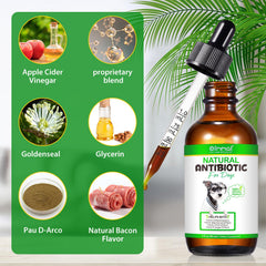 ALIVO antibiotique pour chiens, gouttes et pipette, facile à administrer après repas.