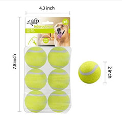 Balle ALL FOR PAWS en extérieur, parfaite pour sessions prolongées.