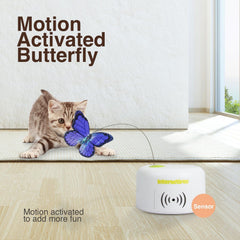 ALL FOR PAWS Interactives capteur-mouvement active le jeu quand le chat s'approche.