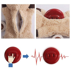 ALL FOR PAWS jouet chaton peluche: encourage le jeu sûr et interactif