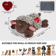 ALL FOR PAWS jouet chien chaleur incluse, réconfort réutilisable.