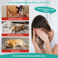 ALL FOR PAWS Lick Mat ventouses et fixation sur sol lisse