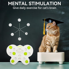 Nettoyage rapide ALL FOR PAWS grâce à une construction modulaire amovible