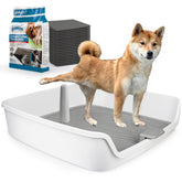 ALL FOR PAWS porte-tapis-pipi XL pour espace intérieur propre