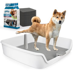 ALL FOR PAWS porte-tapis-pipi XL pour espace intérieur propre
