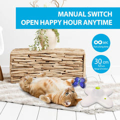 ALL FOR PAWS recharges-papillon-x2 assure des sessions de jeu prolongées.