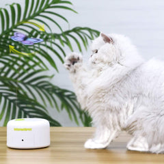 ALL FOR PAWS remplacements papillon toupie 360 – design sécurisé pour chats curieux