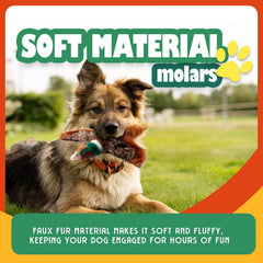 ALL FOR PAWS stimulation mentale – encourage curiosité et exploration.