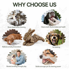 ALL FOR PAWS Texture peluche douce, parfait pour le réconfort durant les câlins.