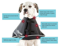 All Four Paws Comfy Cone design réversible, flexibilité pour l animal