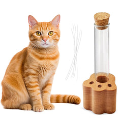 Allenkwok pot moustaches-chat en verre transparent, mémoire durable pour votre compagnon félin.