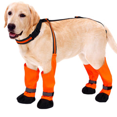 Bottes Allroaring pour chien imperméables avec bretelles, protection contre l'eau
