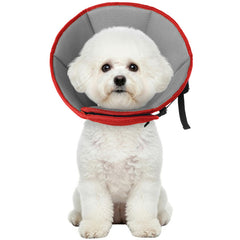 Allroaring cone chien apres-operation protège les plaies tout en offrant du confort.