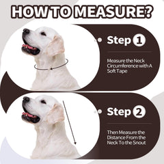 Allroaring cone chien, mise en place rapide, utilisation simple.