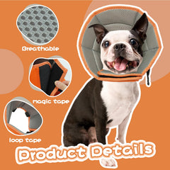 Allroaring Cône grand chien – réglage facile avec boucles et scratch.