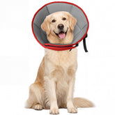 Allroaring cône doux pour chien grand, protège plaie après chirurgie et favorise le repos.