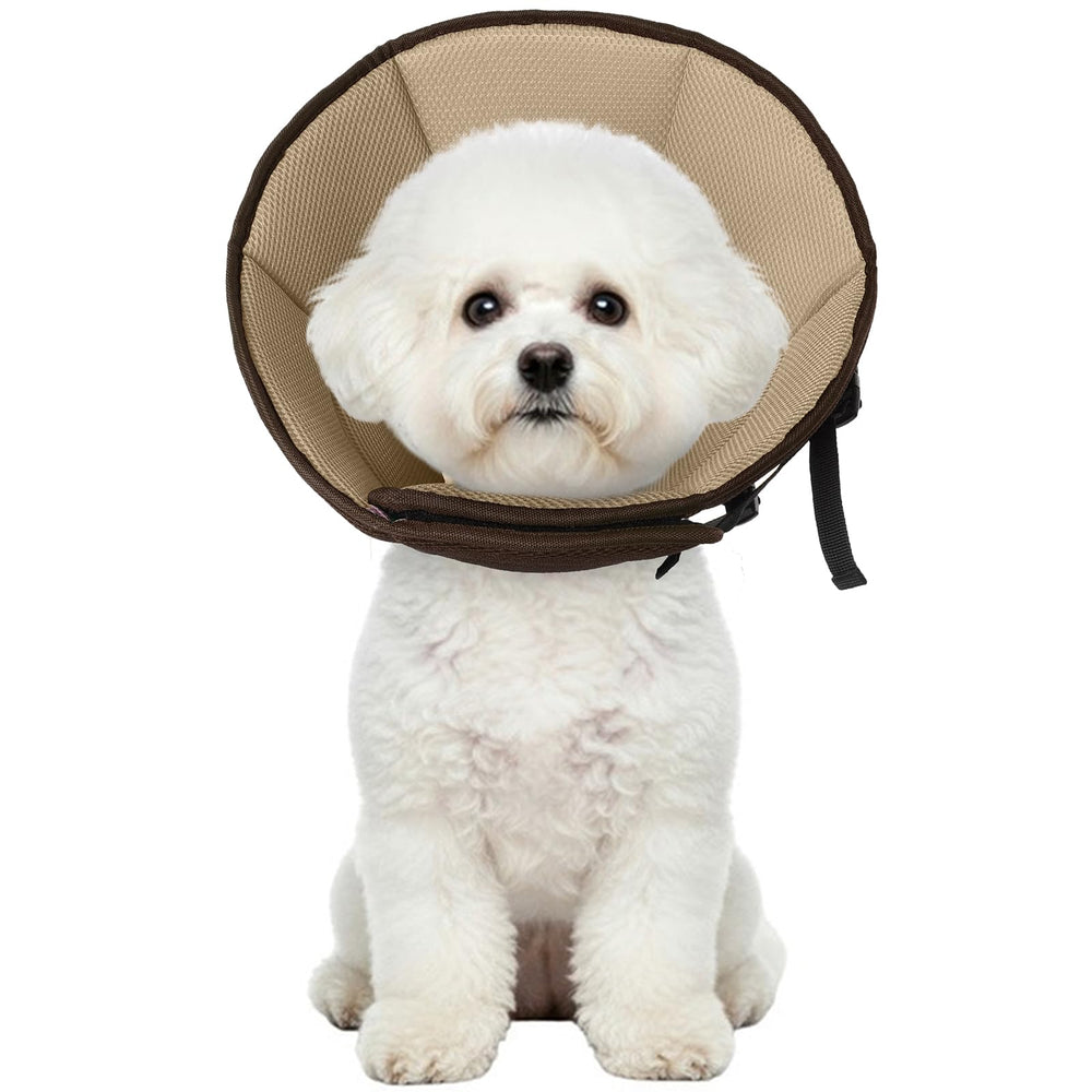 Allroaring cone recuperation petit-chien : protege les plaies pendant la convalescence.
